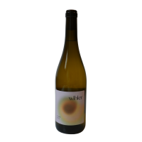 Blanc 2024 Ina Wihler