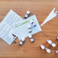 Parfümbaukasten PARTY SET